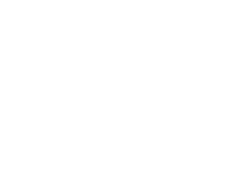 Decorative geometric pattern